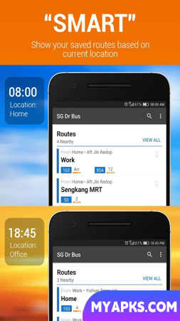 SG Dr Bus: SG Bus Daily Route