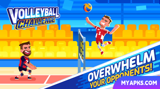 Volleyball Challenge 2022