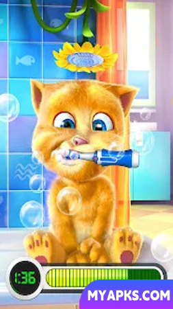 Gato ruivo falante