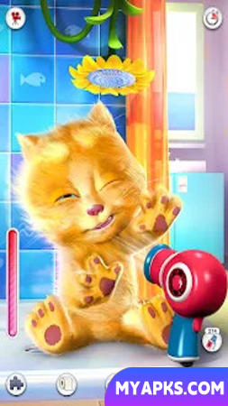 Gato ruivo falante