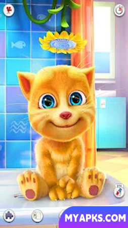 Gato ruivo falante