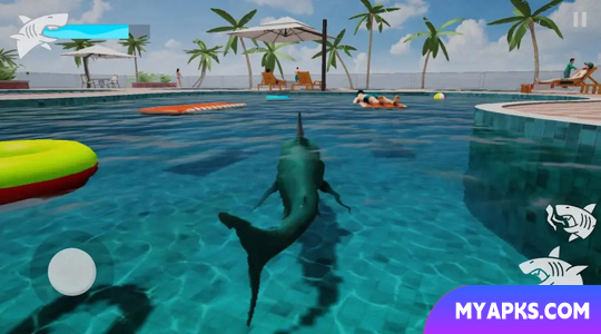 Shark Rage