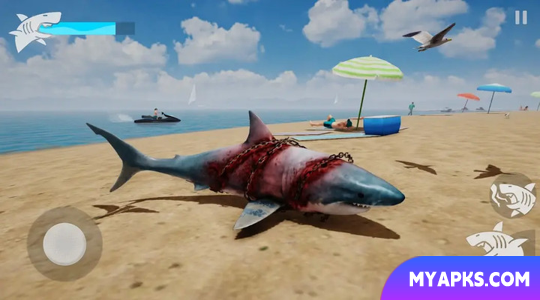Shark Rage