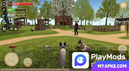 Cat Simulator : animal life kitty pet