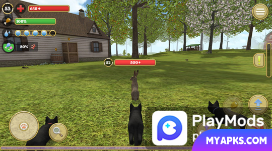 Cat Simulator : animal life kitty pet