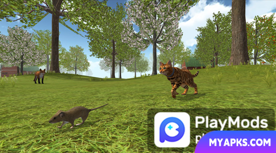 Cat Simulator : animal life kitty pet