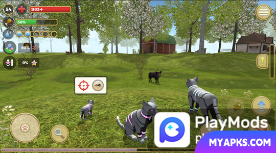 Cat Simulator : animal life kitty pet