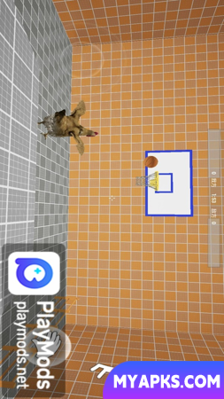 Só porque posso jogar basquete