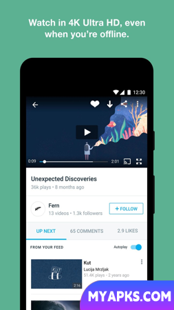 Vimeo