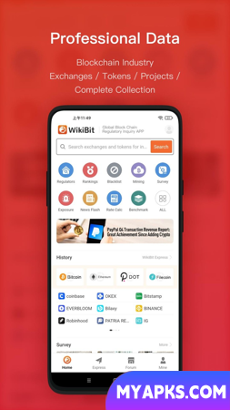 WikiBit: uma ferramenta confiável de supervisão de blockchain