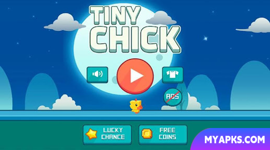 Tiny Chick