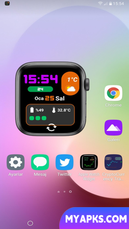 Apple Watch Widget