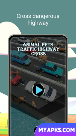 Animal Pets Traffic Highway