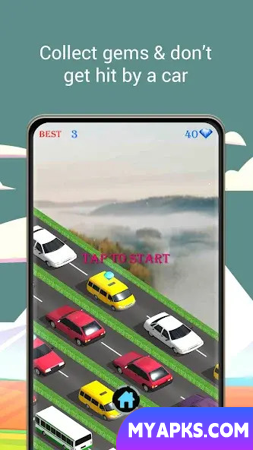 Animal Pets Traffic Highway