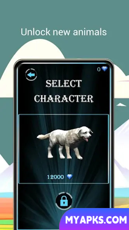 Animal Pets Traffic Highway