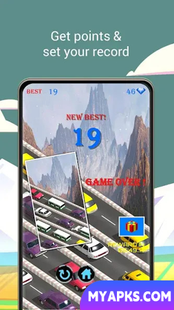 Animal Pets Traffic Highway