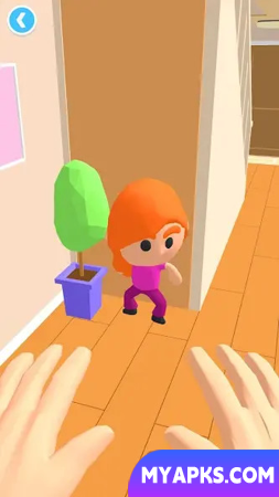 Hide N' Seek 3D