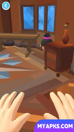 Hide N' Seek 3D