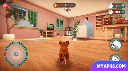 Cat Simulator 2
