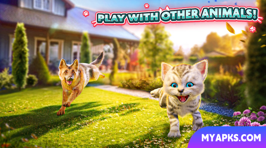 Cat Simulator 2
