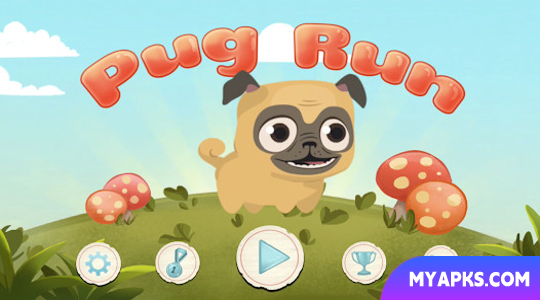 Cachorro Pug/Pug Run
