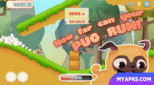 Cachorro Pug/Pug Run