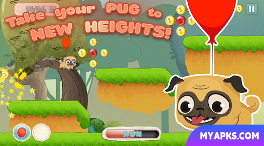 Cachorro Pug/Pug Run