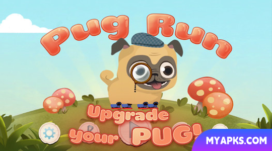Cachorro Pug/Pug Run