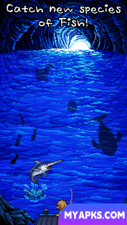 Fishing Paradiso
