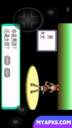 Pokémon Shadow Returns 2.0