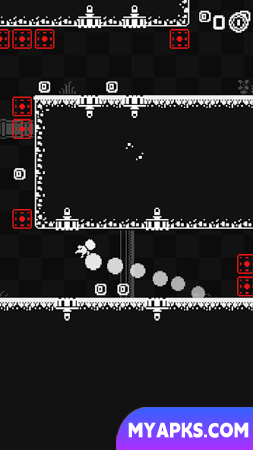 1Bit Marcos