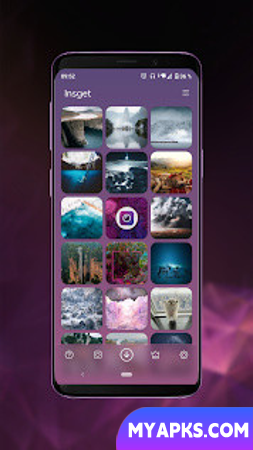 Insget - Instagram Downloader