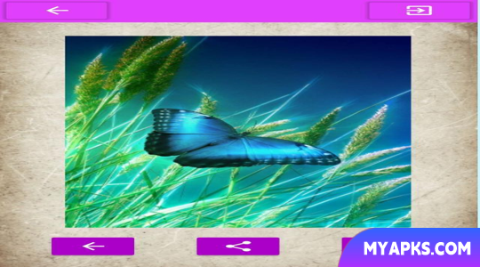 Fondos de Pantalla Mariposas.