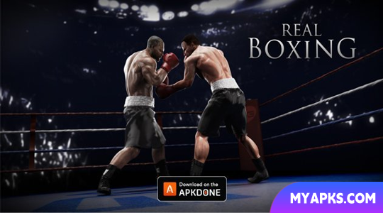 boxe de verdade