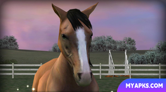My Horse