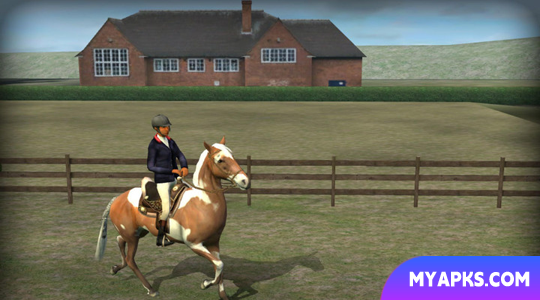 My Horse