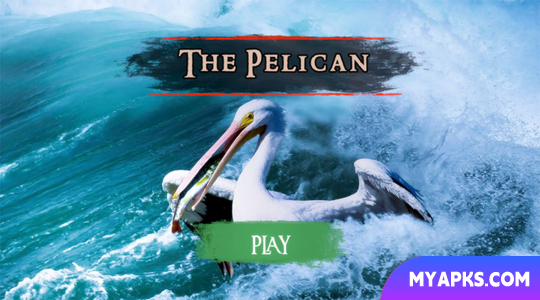 The Pelican