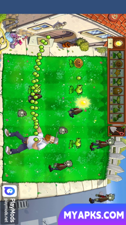 Plant vs Zombie