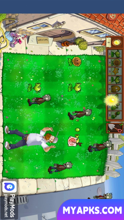 Plant vs Zombie