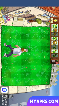 Plant vs Zombie