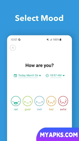 Daylio Journal - Mood Tracker 