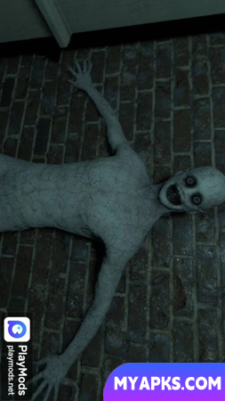 The Mortuary Murderer Assistant