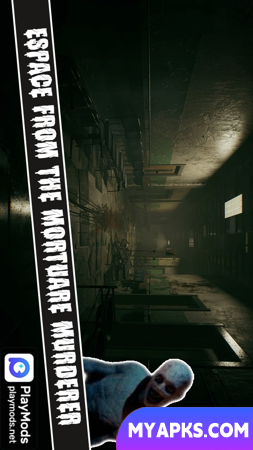 The Mortuary Murderer Assistant