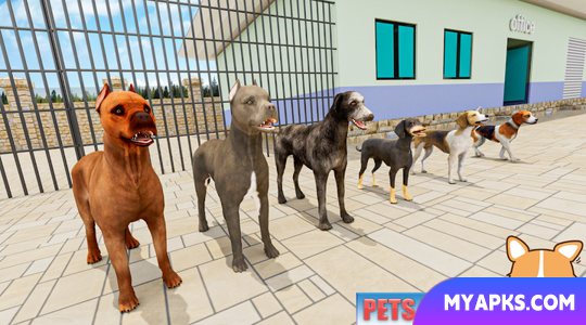 Animal Shelter: Pet World Game