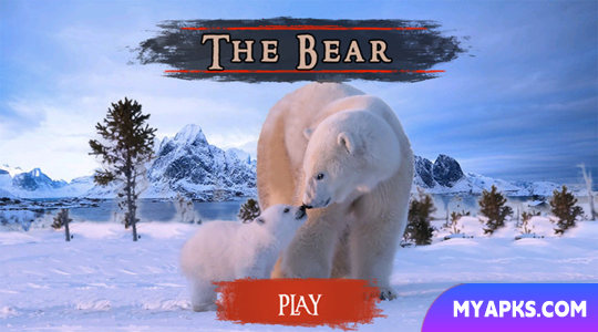 The Bear