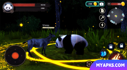 The Panda