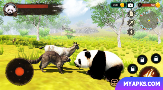 The Panda