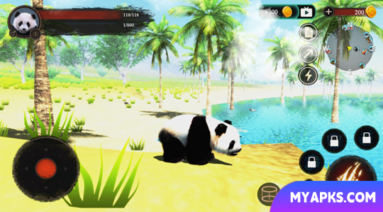 The Panda