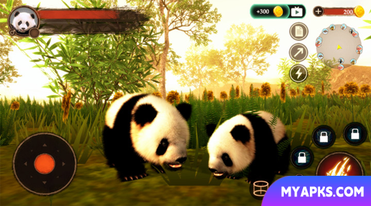 The Panda