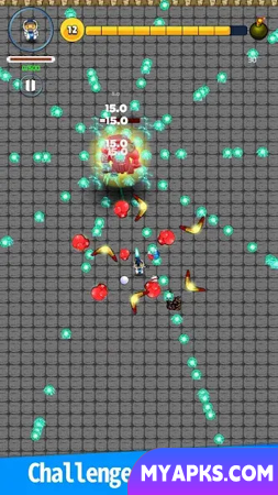 Survivor Shooter.io